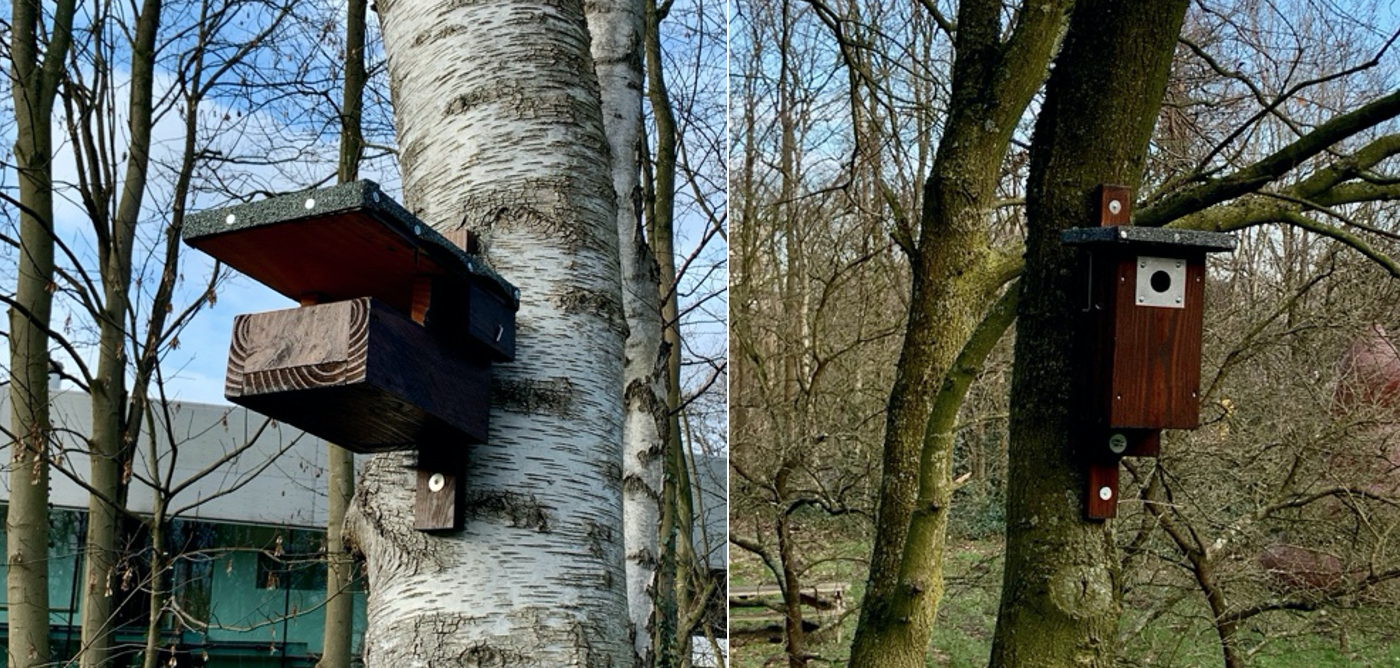 Biodiversiteit op het Media Park